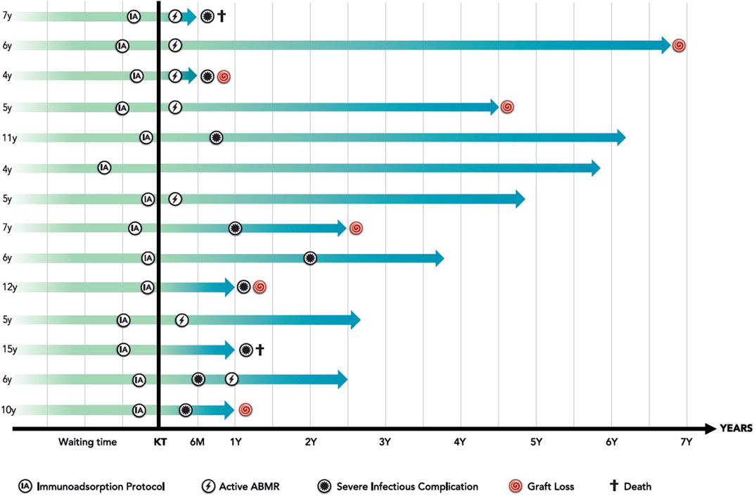 Frontiers Publishing Partnerships | Immunoadsorption-Based HLA ...