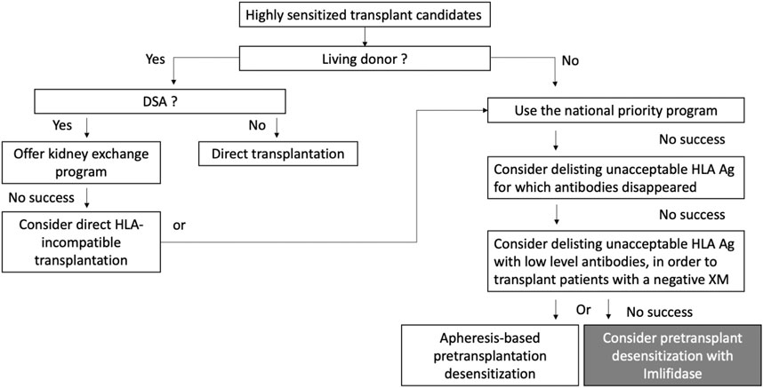Frontiers Publishing Partnerships | Imlifidase for Kidney ...
