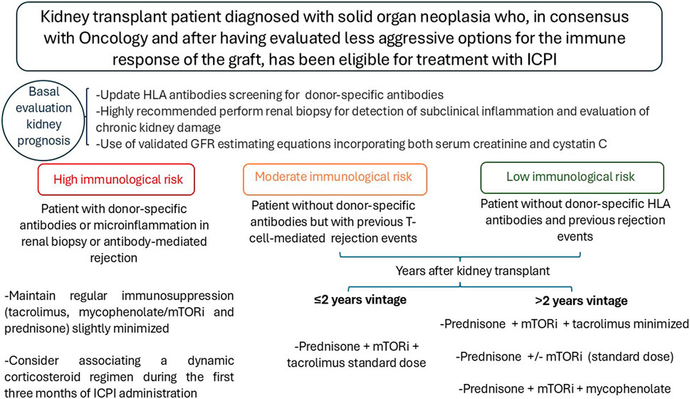 Frontiers Publishing Partnerships | Immunotherapy for Cancer in Kidney ...