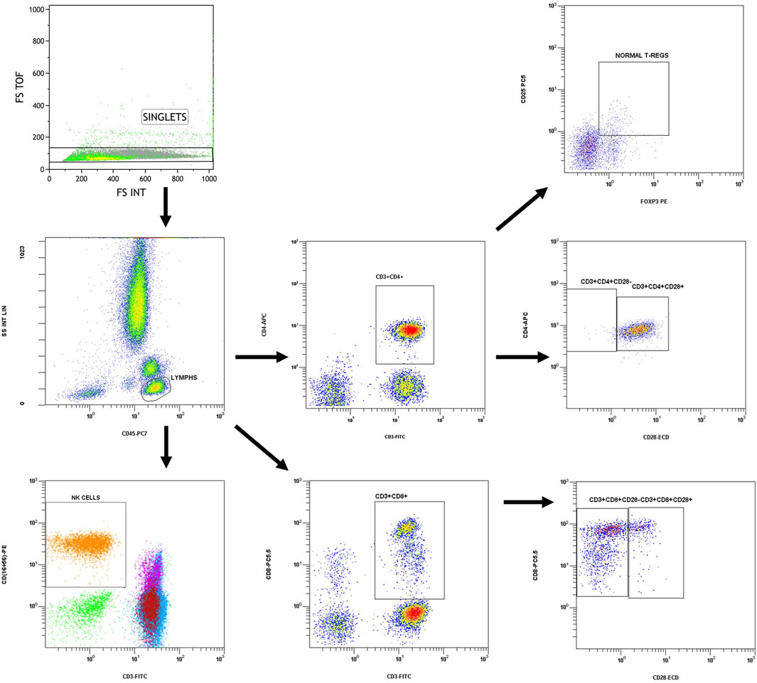 Frontiers Publishing Partnerships | Cellular Immunity in Chronic Kidney ...