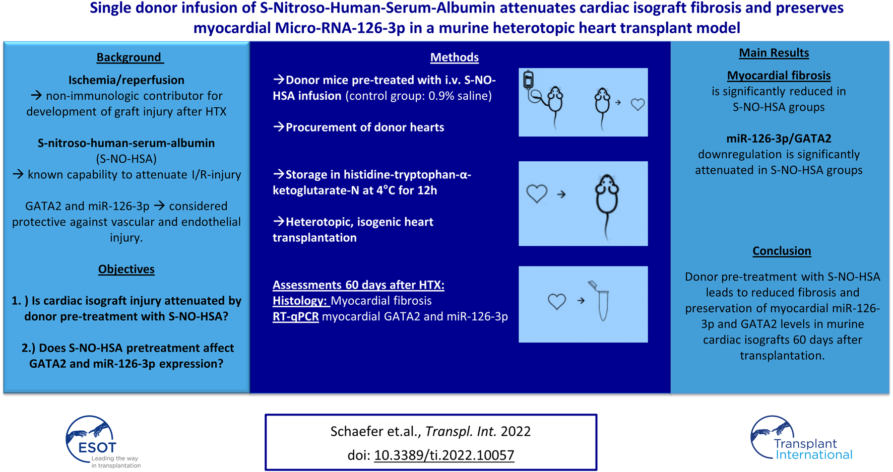 Graphical Abstract