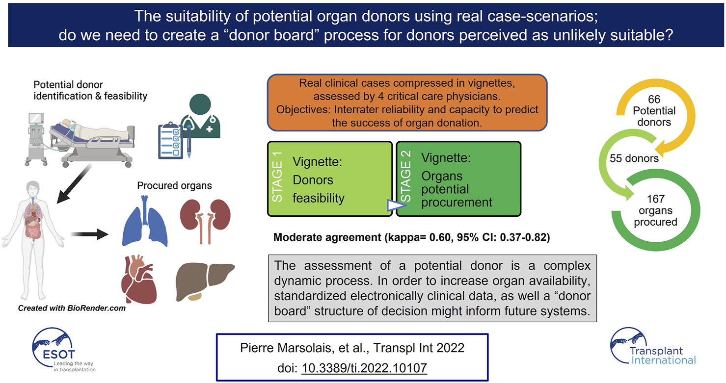 Graphical Abstract