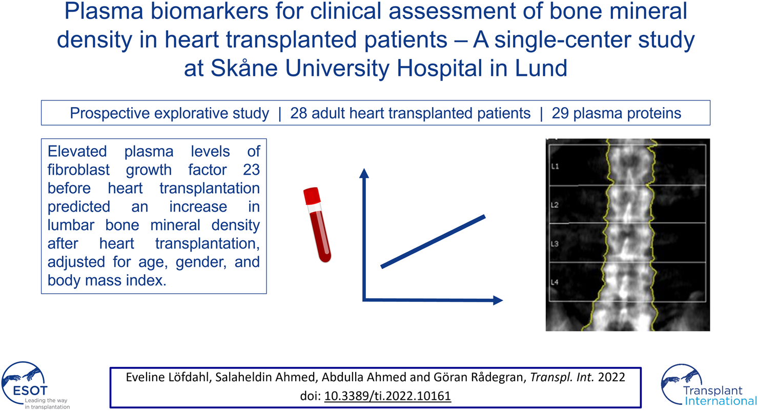 Graphical Abstract