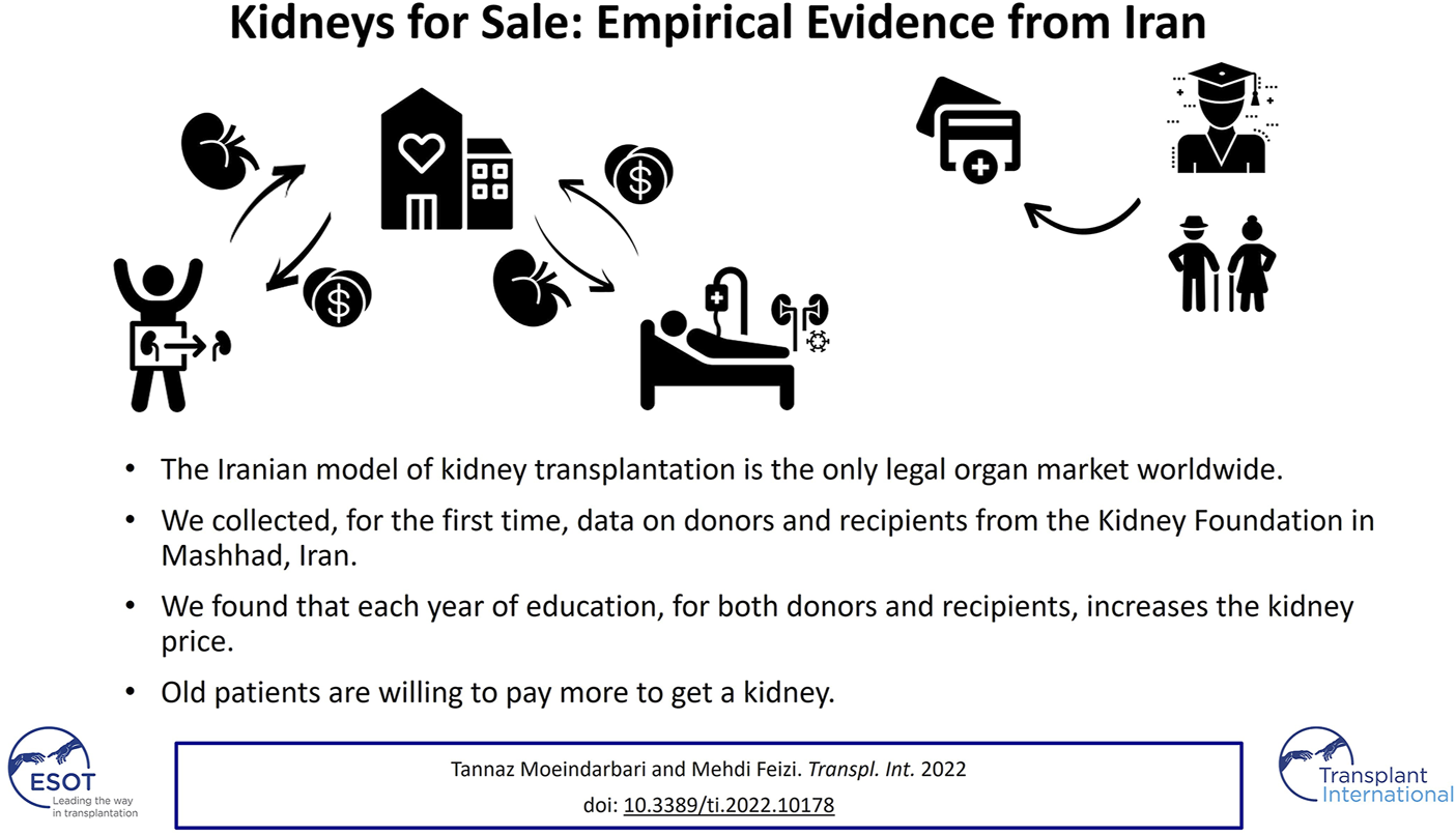 Graphical Abstract