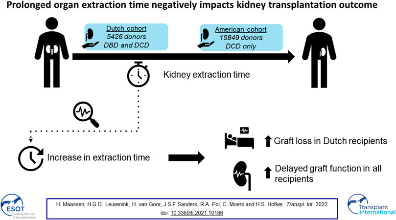 Frontiers Publishing Partnerships Prolonged Organ Negatively Impacts Kidney Transplantation Outcome