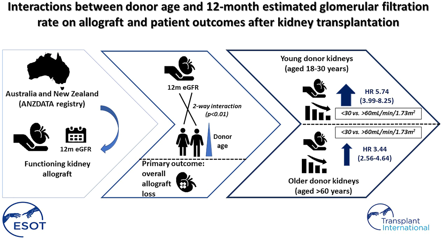Graphical Abstract