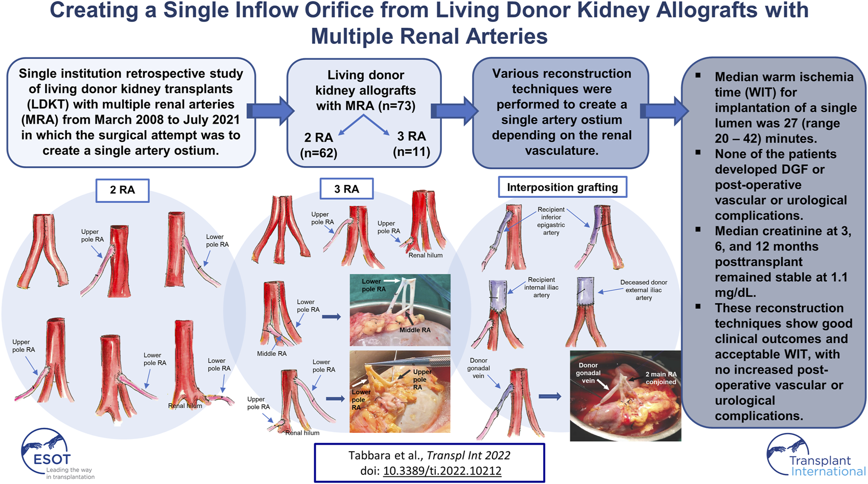 Graphical Abstract