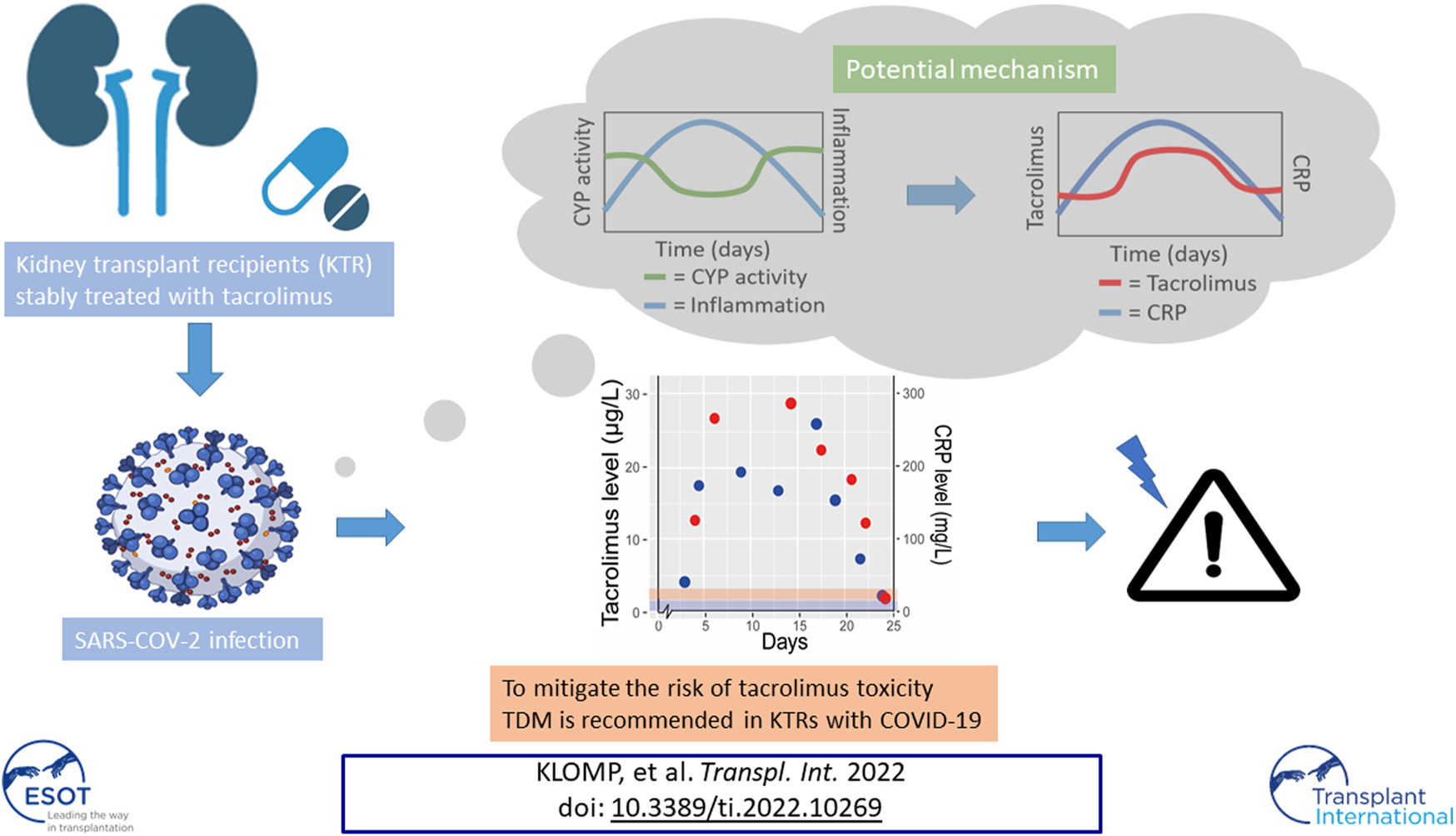 Graphical Abstract