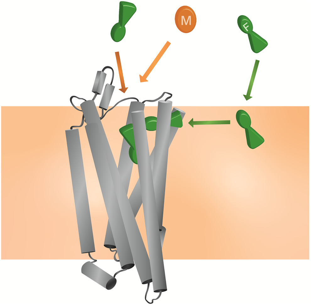FIGURE 8