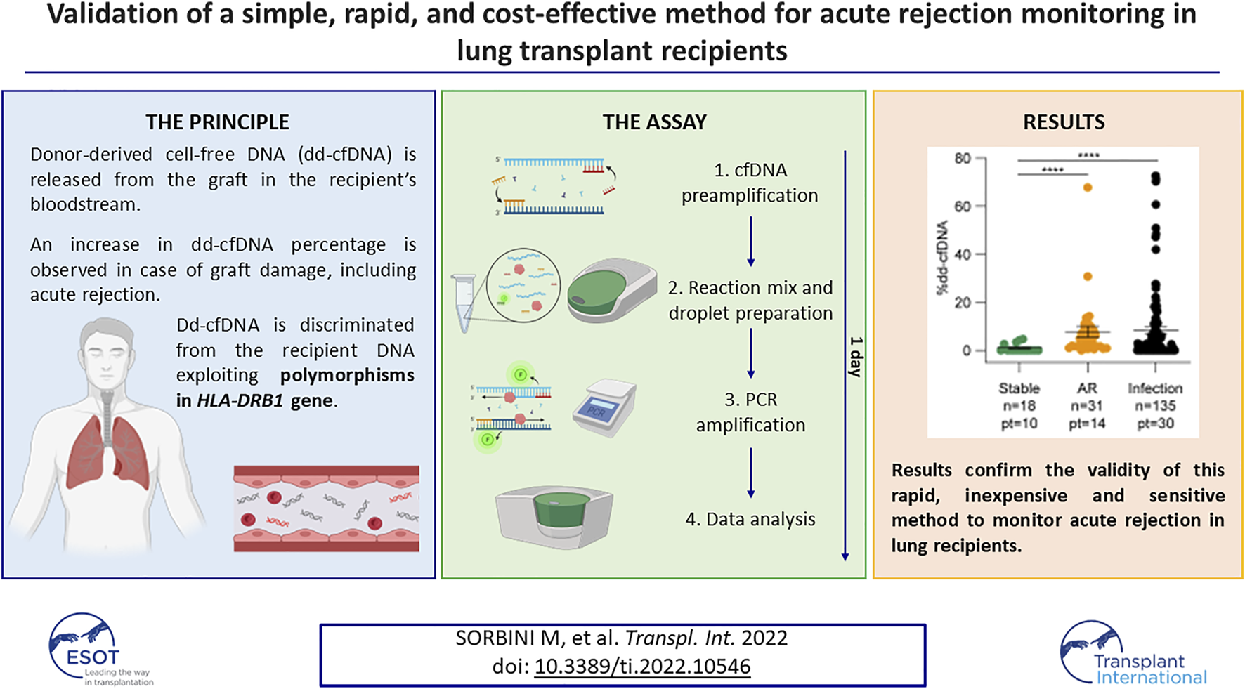 GRAPHICAL ABSTRACT