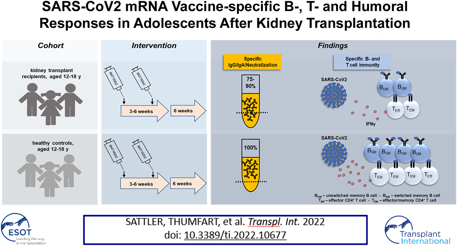 Graphical Abstract
