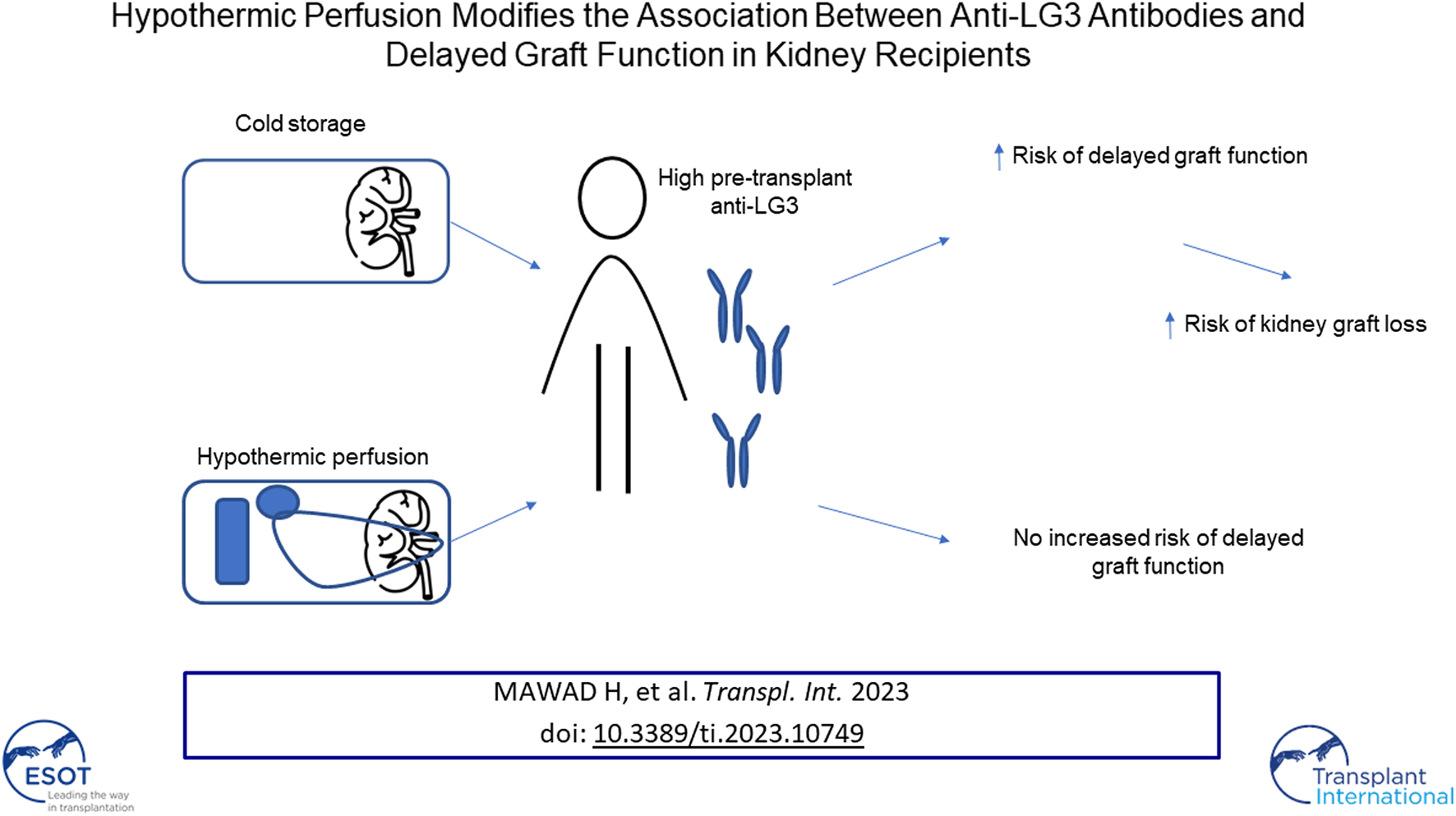 Graphical Abstract