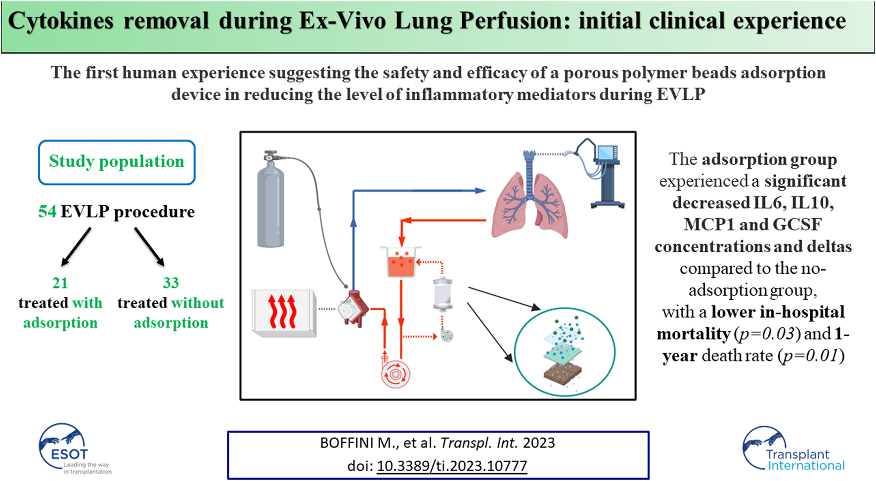 Graphical Abstract