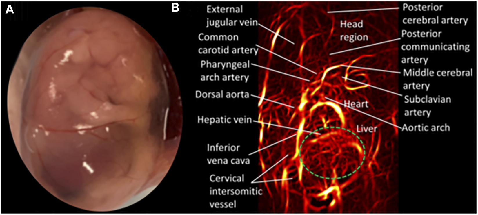 FIGURE 3
