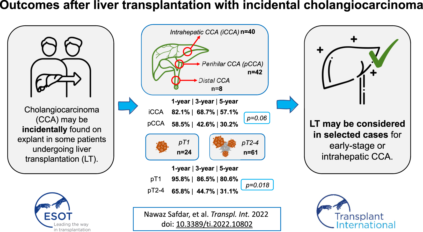 Graphical Abstract