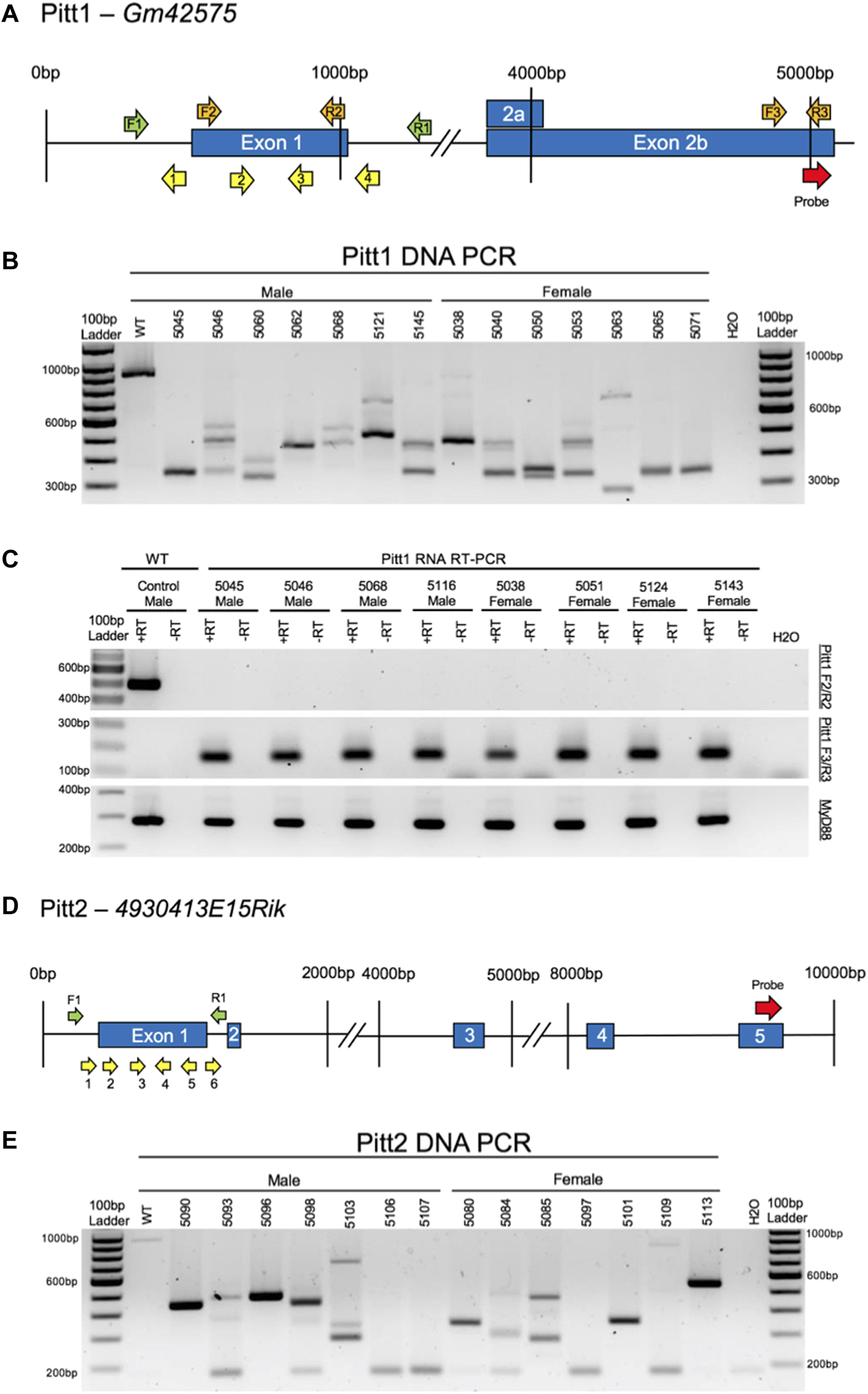 FIGURE 3