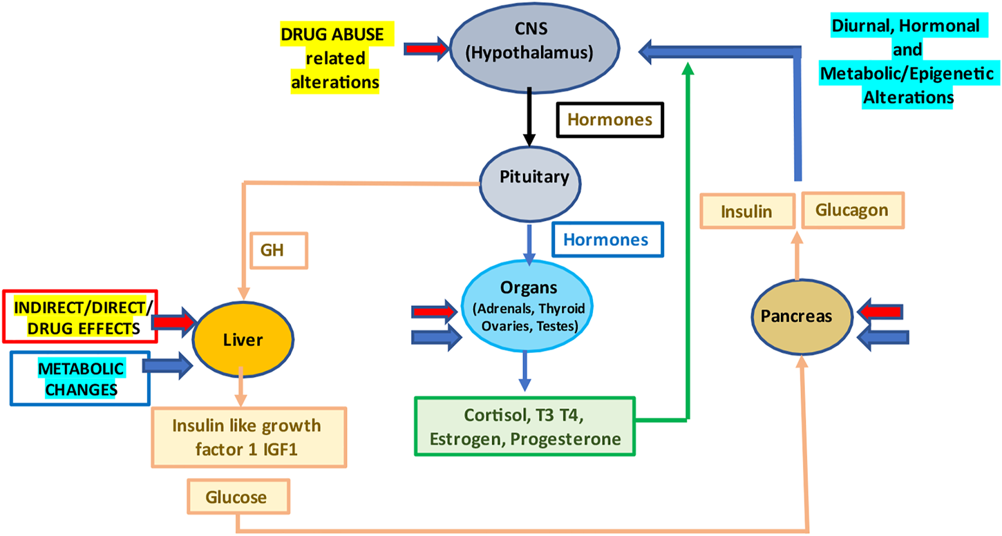 FIGURE 1