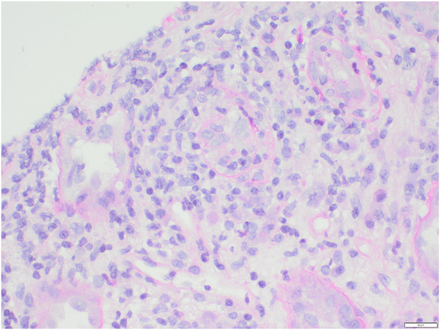 FIGURE 3