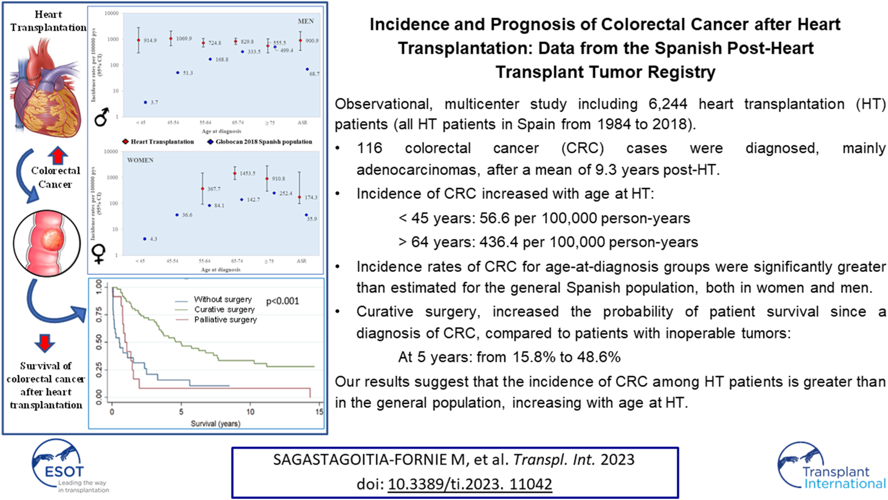 Graphical Abstract