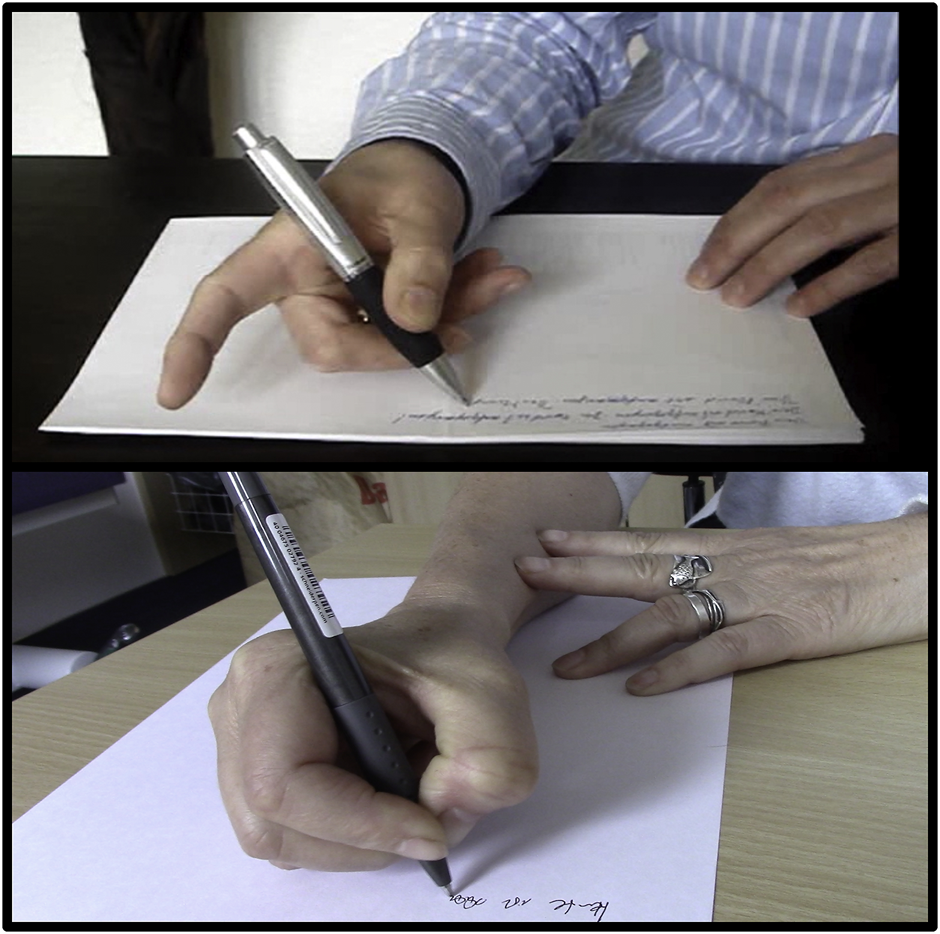 FIGURE 1