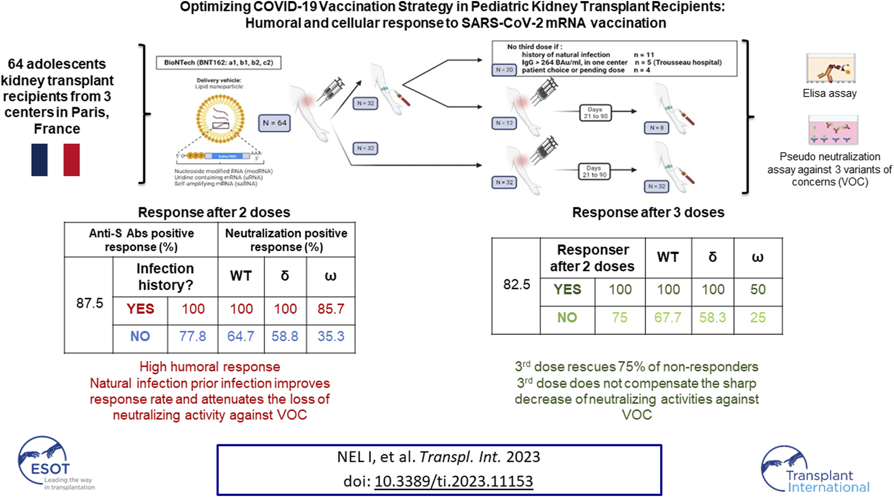 Graphical Abstract