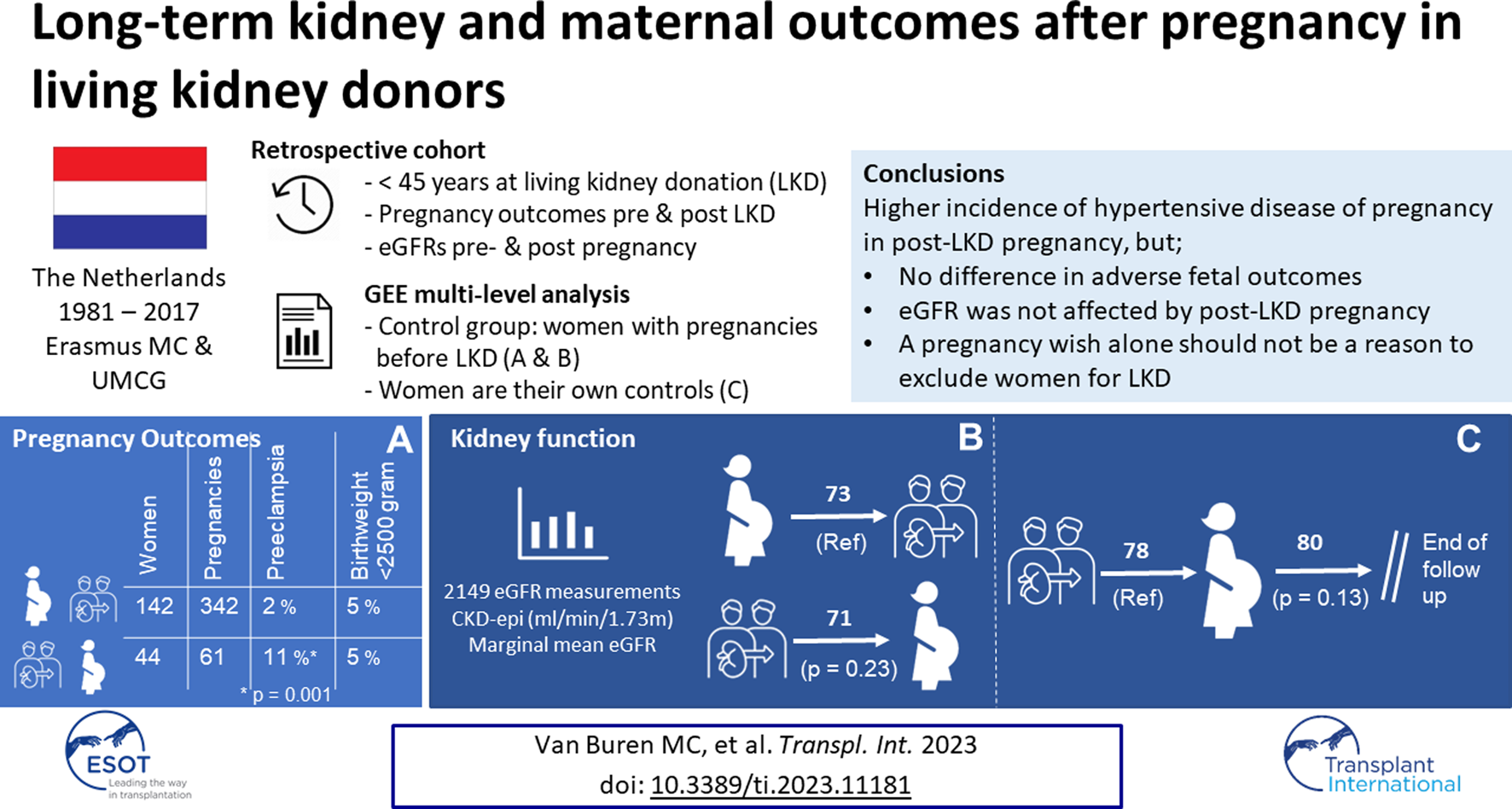 Graphical Abstract