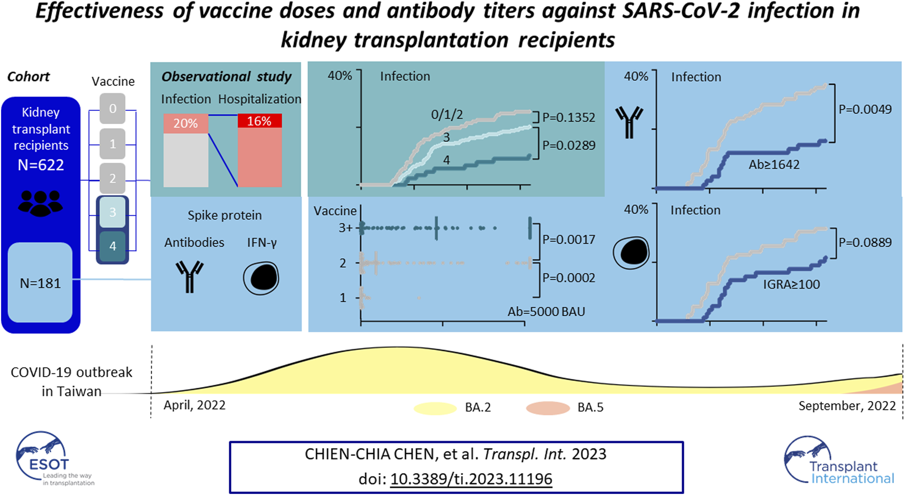 Graphical Abstract