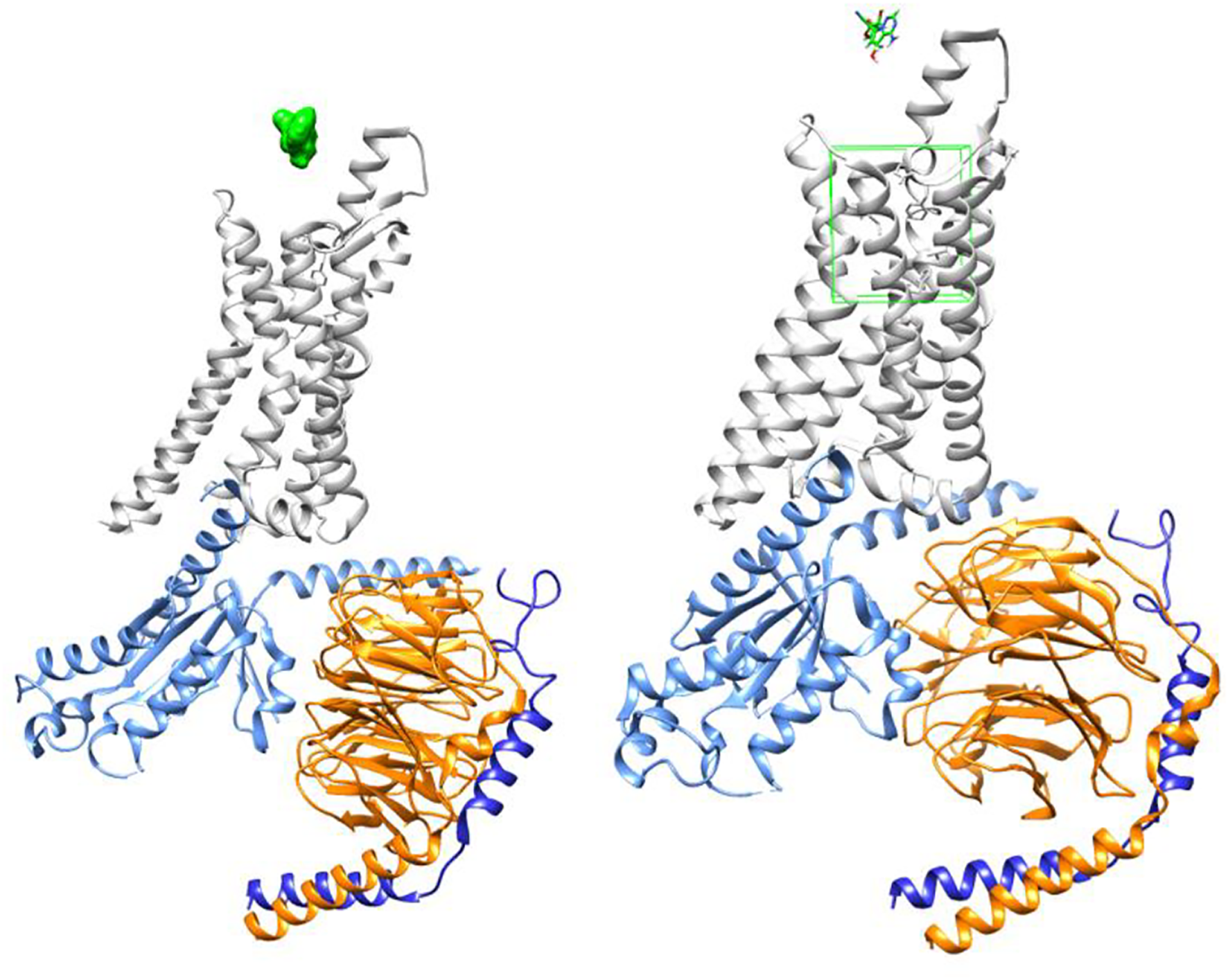 FIGURE 3