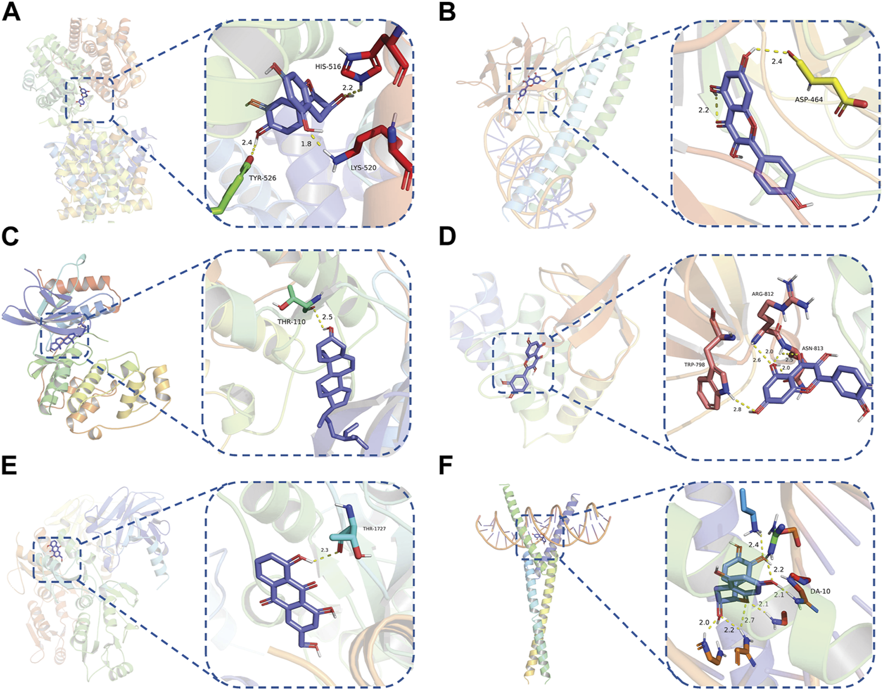 FIGURE 7