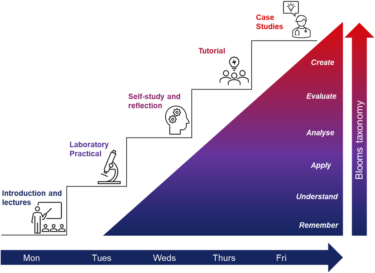 FIGURE 1