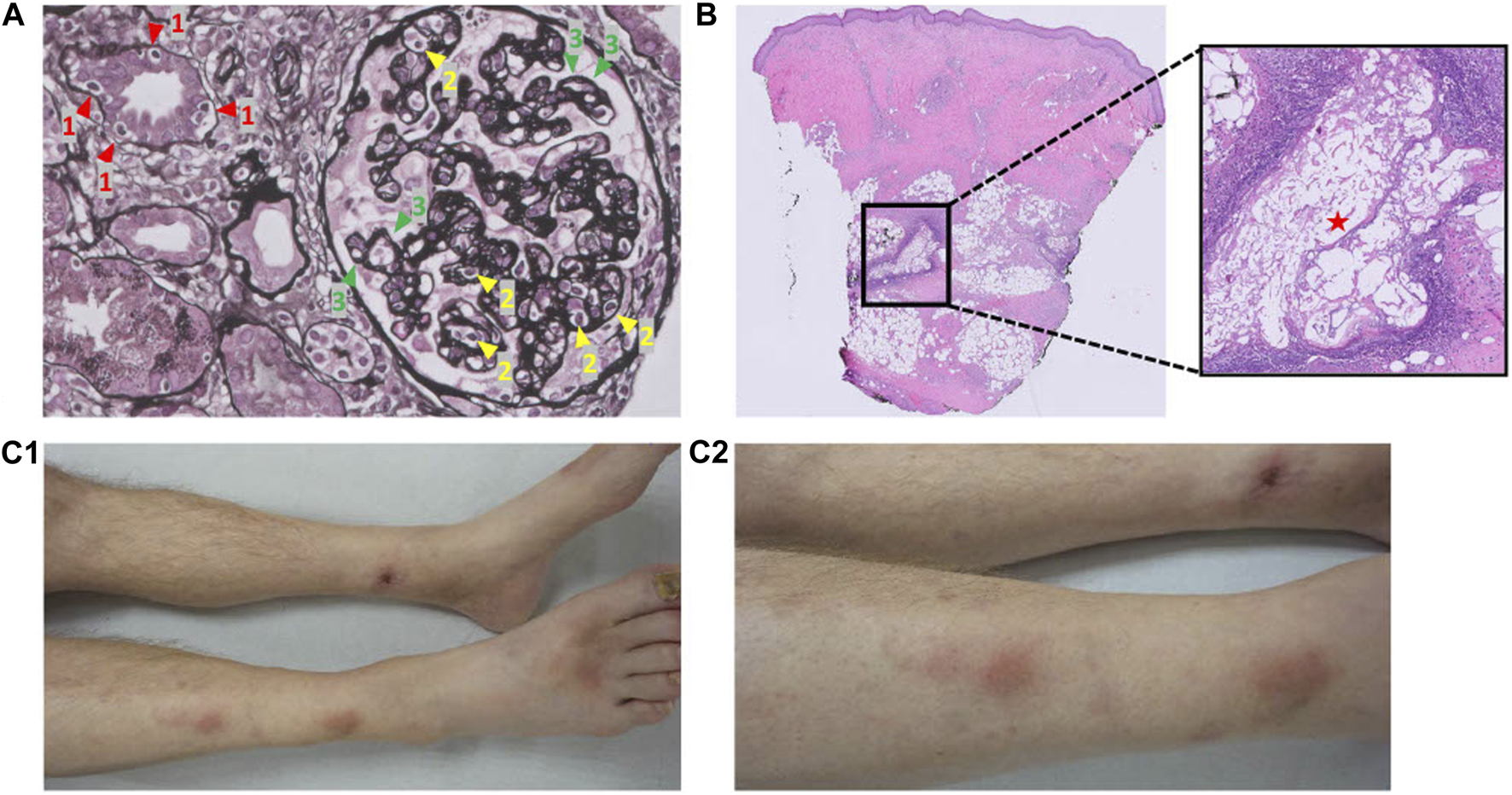 FIGURE 2