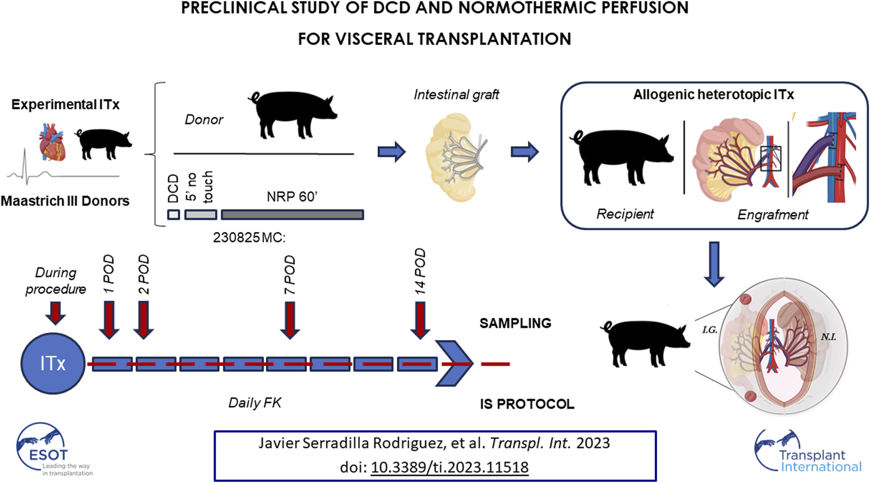 Graphical Abstract