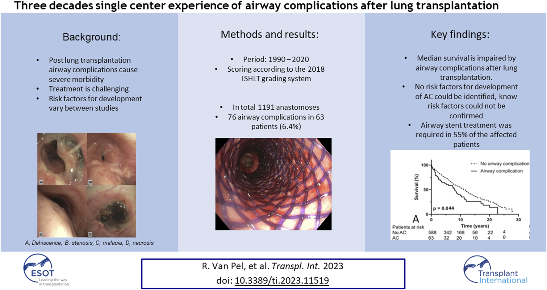 Graphical Abstract