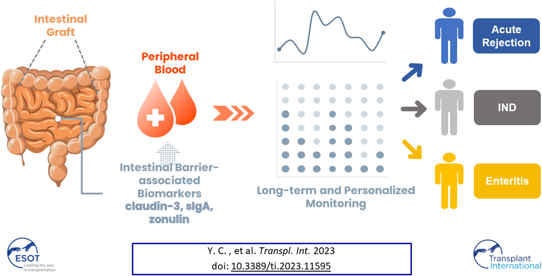 Graphical Abstract