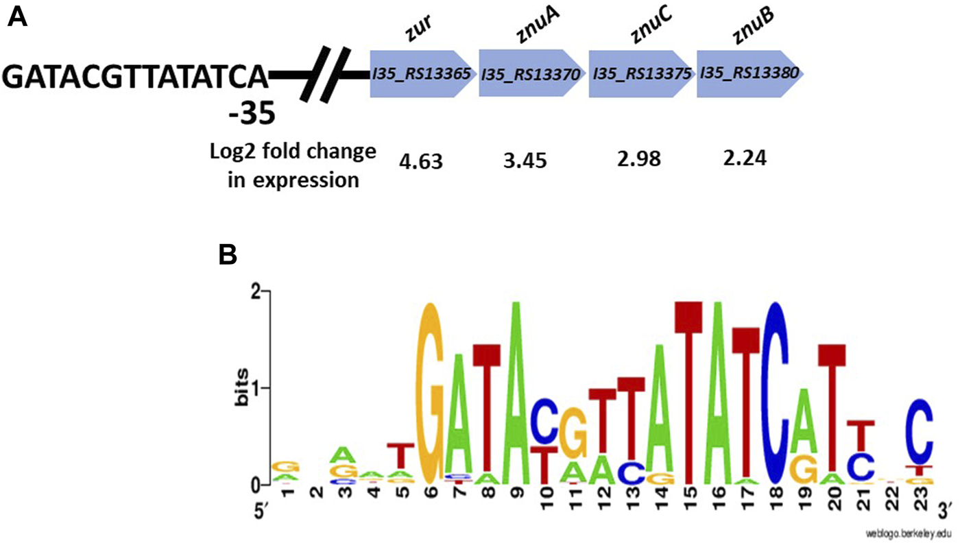 FIGURE 4