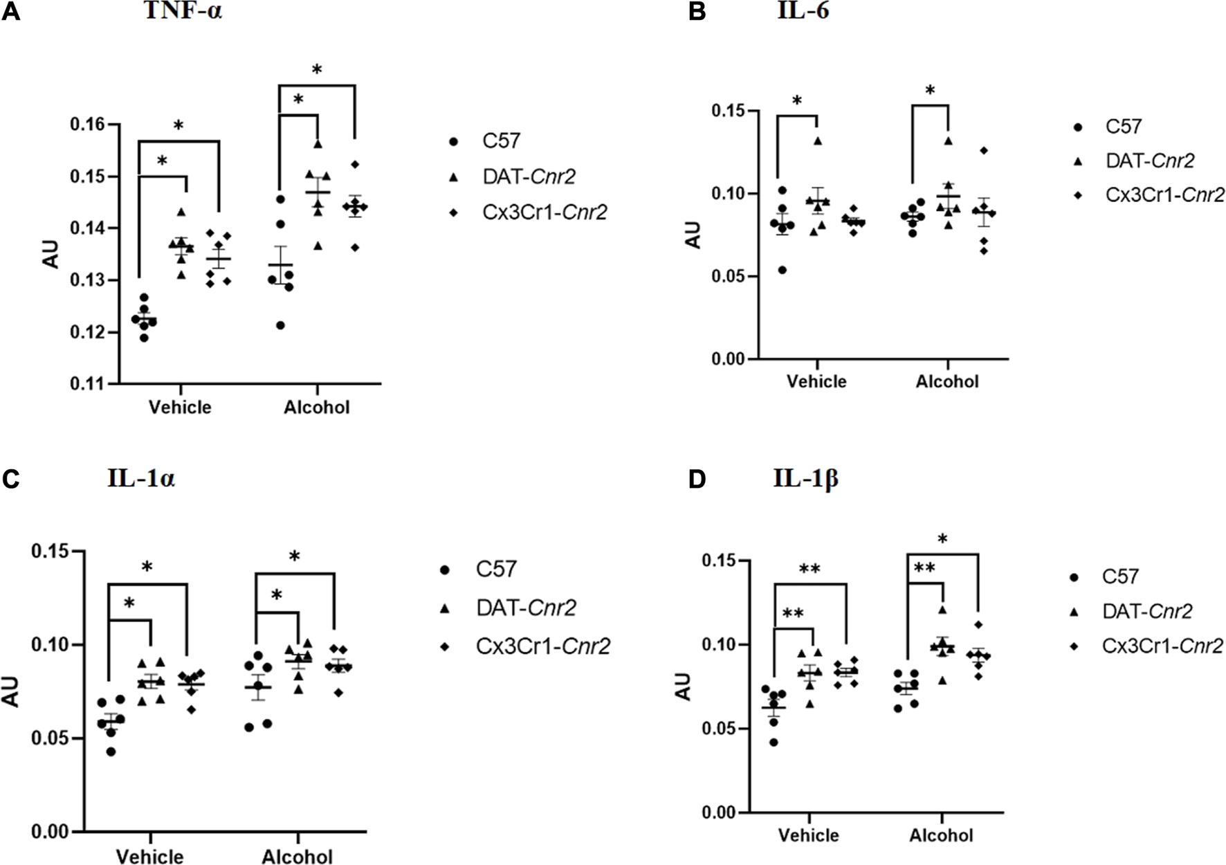 FIGURE 3
