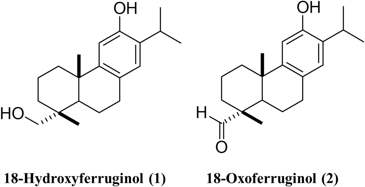 FIGURE 1