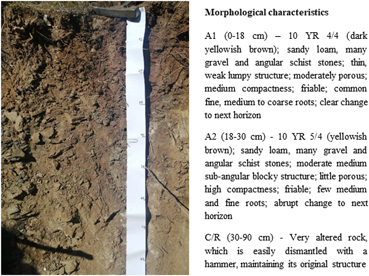 FIGURE 4
