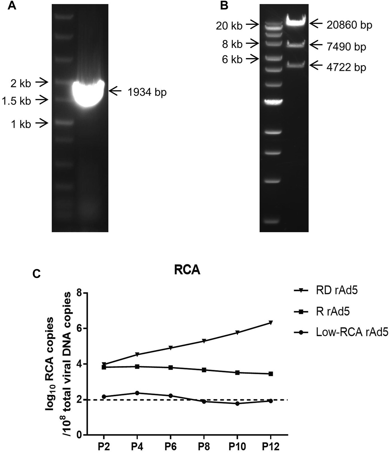 FIGURE 4