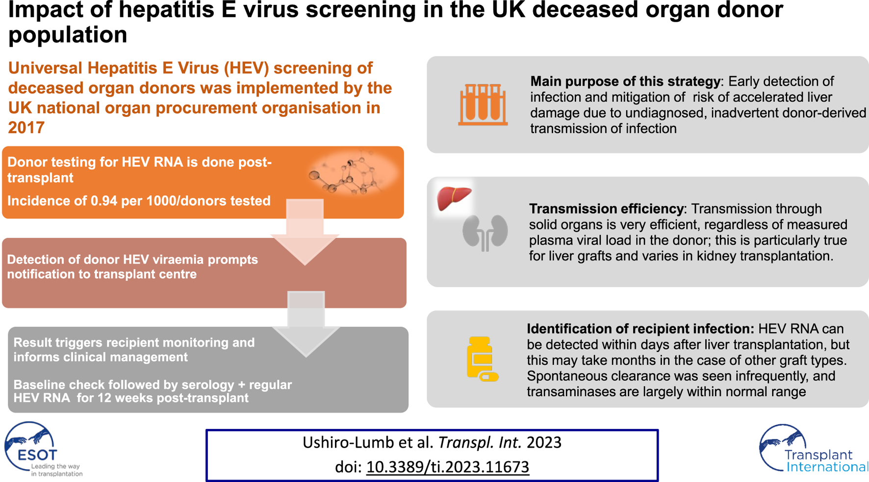 Graphical Abstract