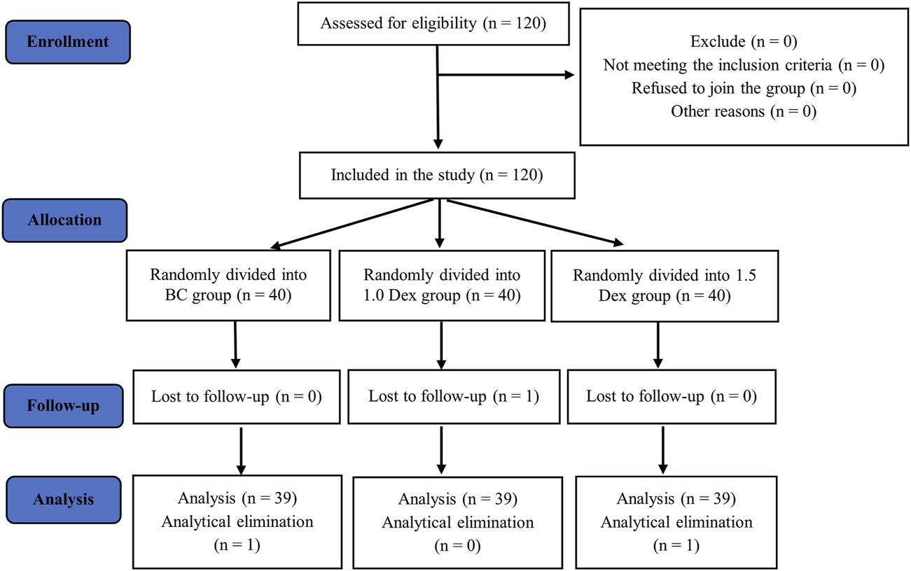 FIGURE 3