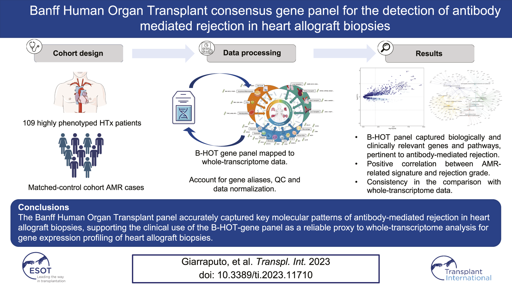 Graphical Abstract
