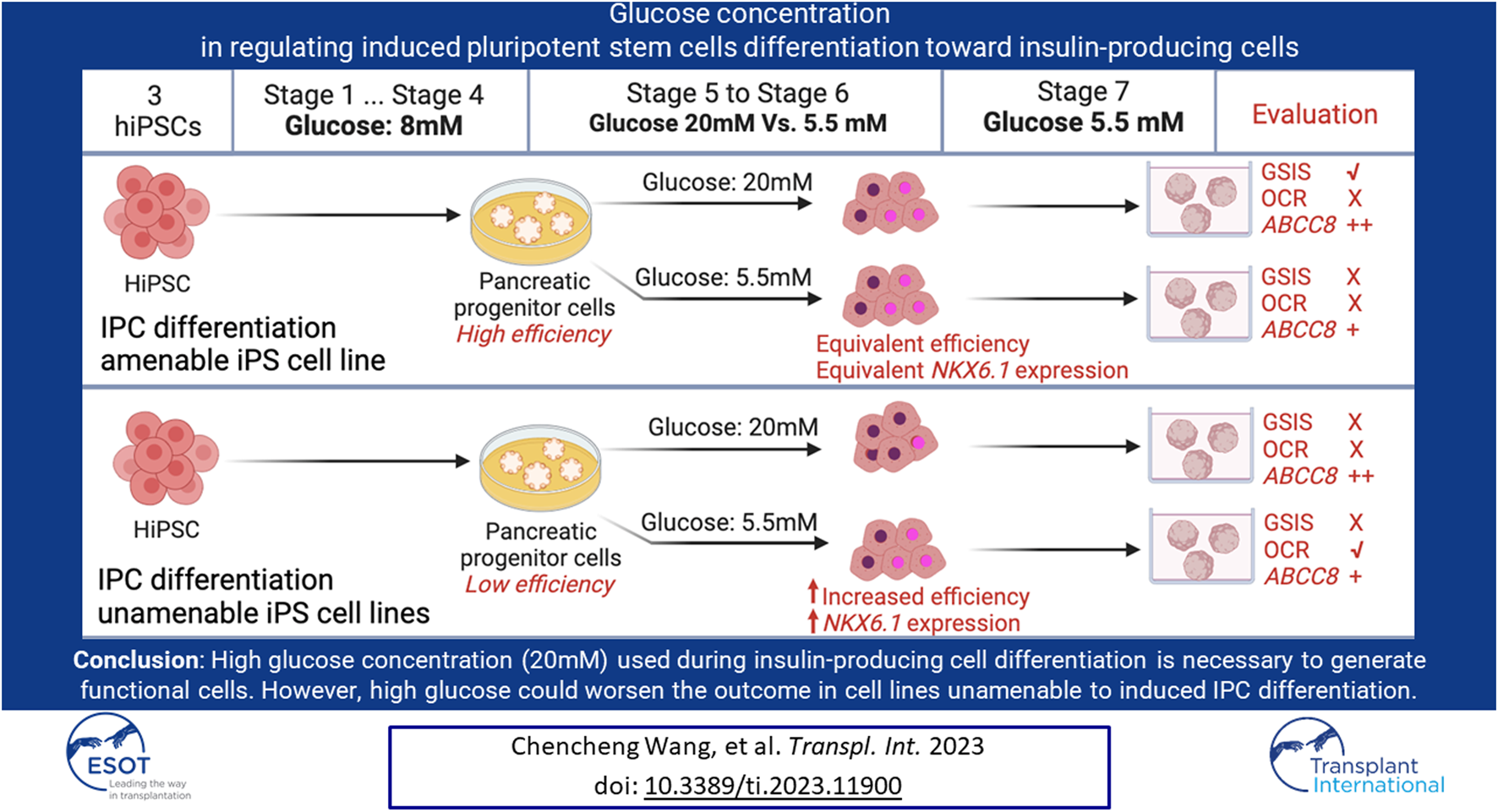 Graphical Abstract