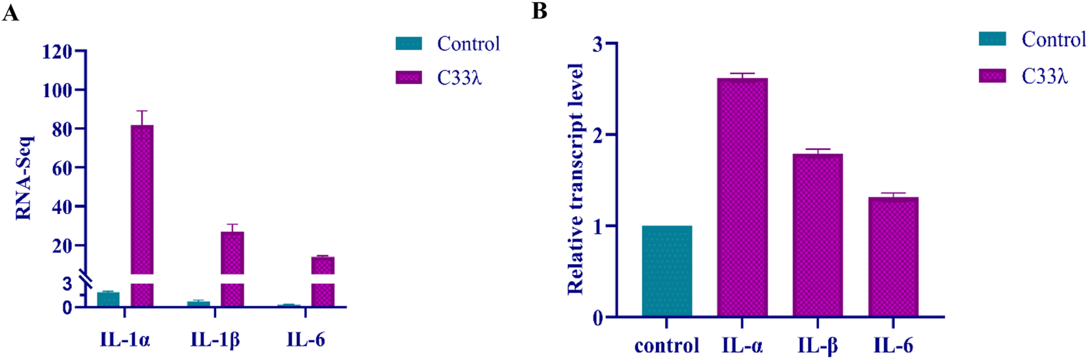 FIGURE 4