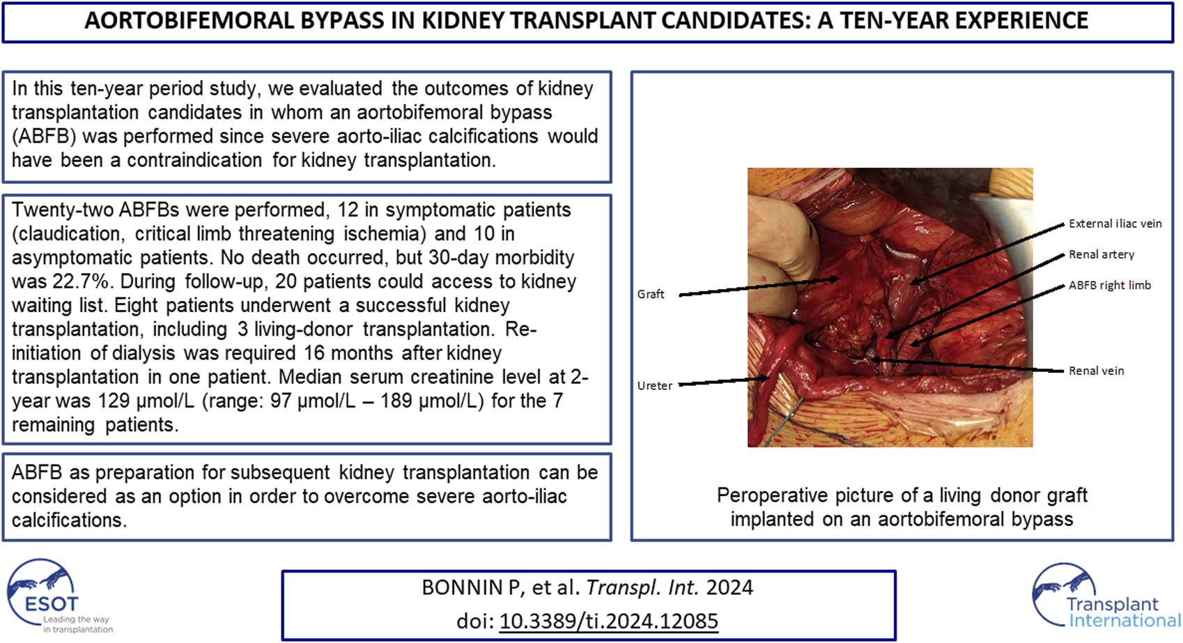 Graphical Abstract