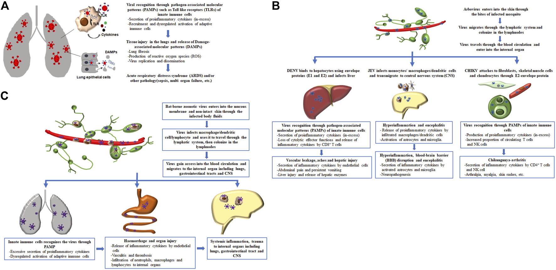 FIGURE 1