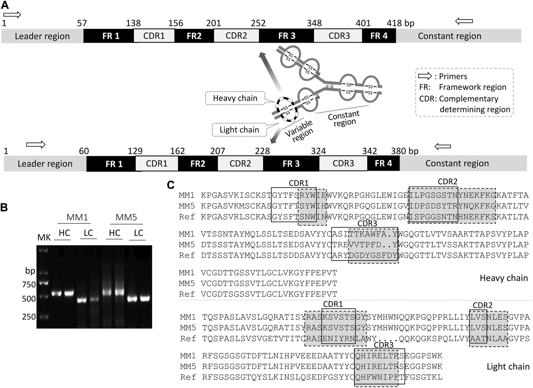 FIGURE 4