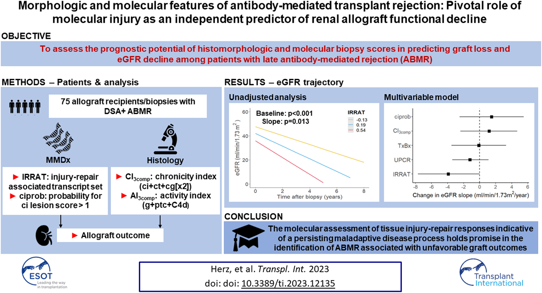 Graphical Abstract