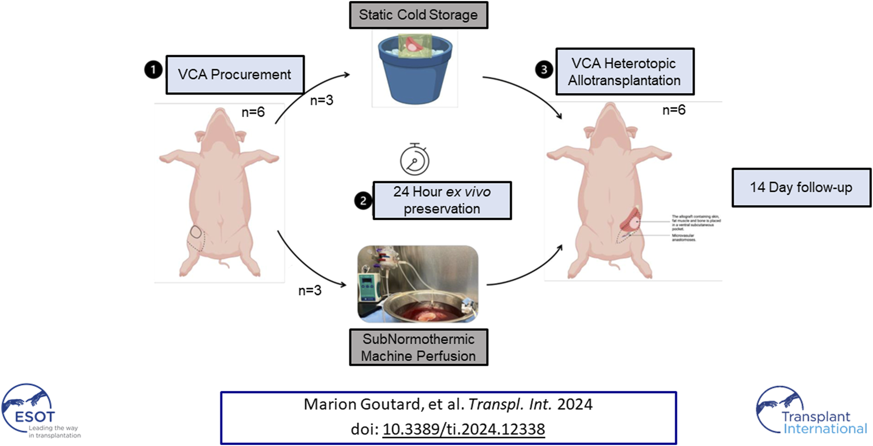 Graphical Abstract