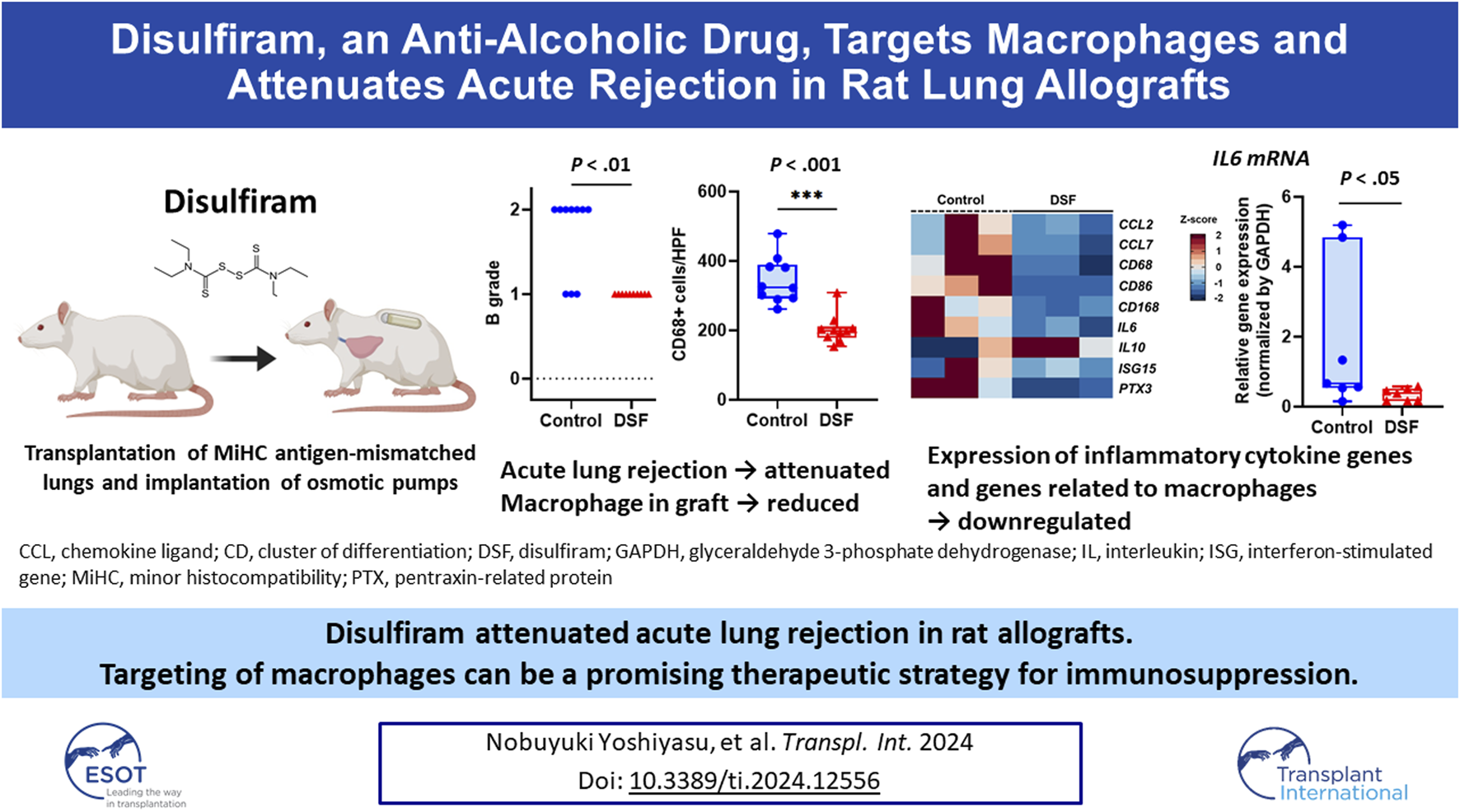 Graphical Abstract